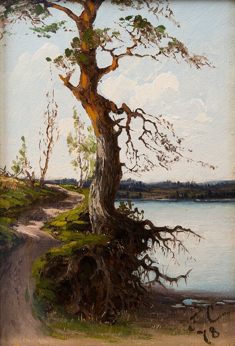 Målningen Tall vid sjö av Fanny Churberg